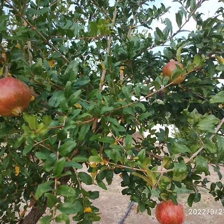 Corinth Kleoni'S Cottage מראה חיצוני תמונה