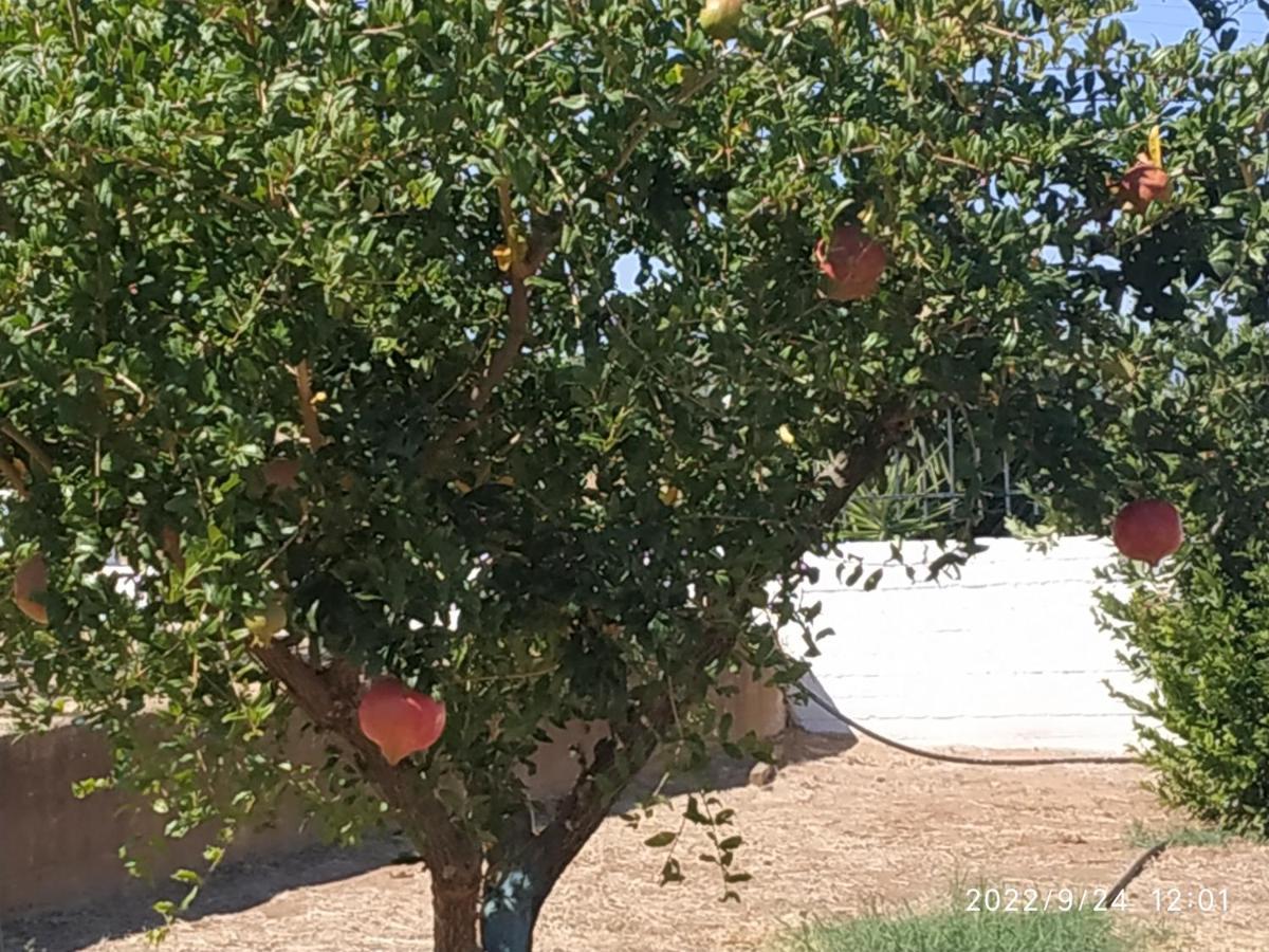 Holiday home Kleoni's Corinth